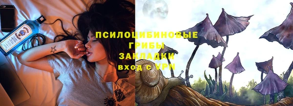 стаф Алексеевка