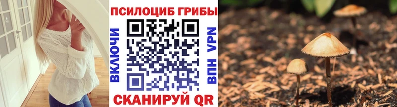 Галлюциногенные грибы Psilocybine cubensis  Мамоново 